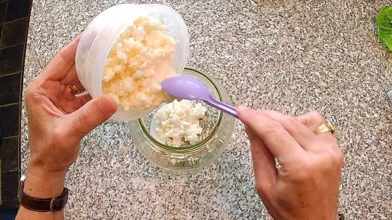 Put the kefir grains into a large jar
