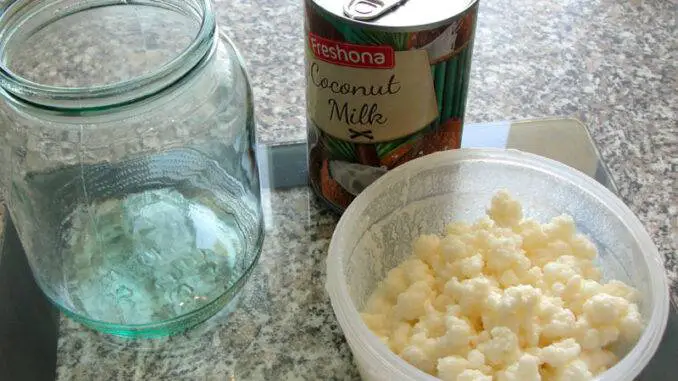 How to make coconut milk kefir?