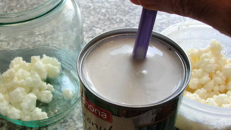 Making Coconut Kefir 2