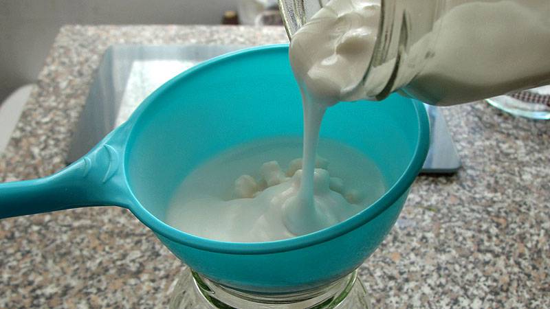 Making Coconut Kefir 4