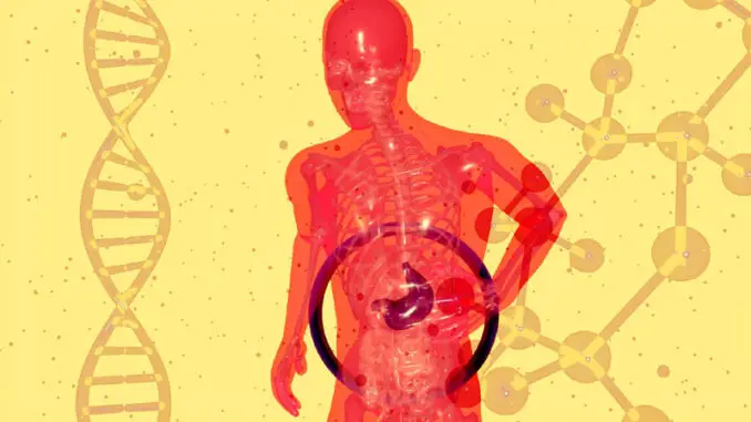 Are probiotics destroyed by gastric acid?