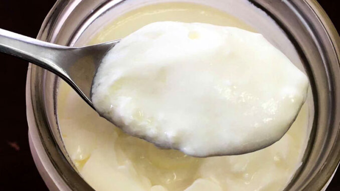 Why my milk Kefir doesn't get thick Why my milk Kefir doesn't get thick